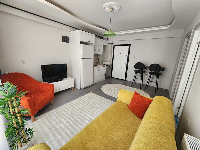 DAİRE 4